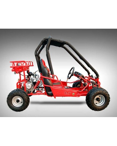 90cc Offroad Dune Buggy Quad ATV Teen Twin Seat Gokart Kids  Under 12yrs 110/125