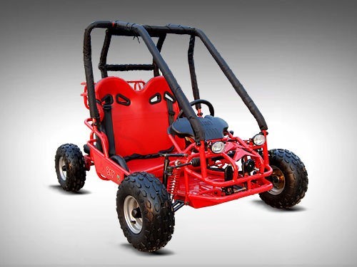 90cc Offroad Dune Buggy Quad ATV Teen Twin Seat Gokart Kids  Under 12yrs 110/125