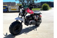 MB200 TrailMaster Hurricane 200X Mini Bike Coleman Full sized Kids Adults Bike RED