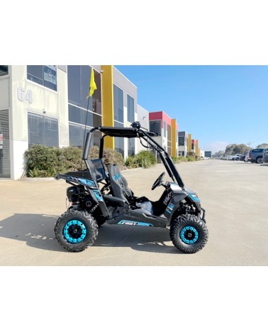 5.5HP 163CC BUGGY TWIN SEAT. FORZA 1, K1.