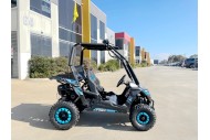 5.5HP 163CC BUGGY TWIN SEAT. FORZA 1, K1.