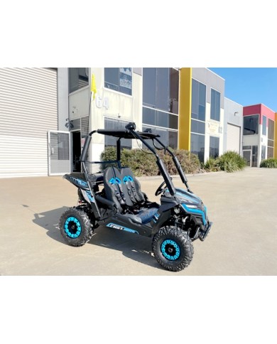 5.5HP 163CC BUGGY TWIN SEAT. FORZA 1, K1.