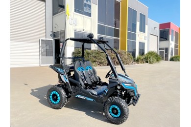 5.5HP 163CC BUGGY TWIN SEAT. FORZA 1, K1.