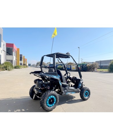 5.5HP 163CC BUGGY TWIN SEAT. FORZA 1, K1.