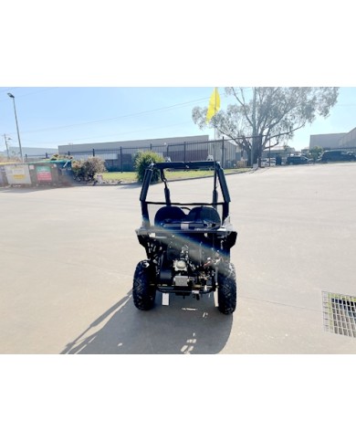5.5HP 163CC BUGGY TWIN SEAT. FORZA 1, K1.