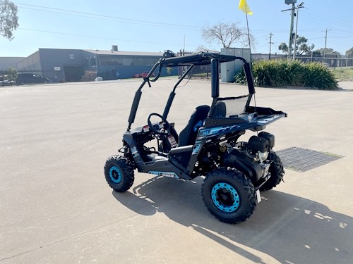 5.5HP 163CC BUGGY TWIN SEAT. FORZA 1, K1.