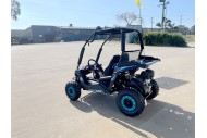 5.5HP 163CC BUGGY TWIN SEAT. FORZA 1, K1.