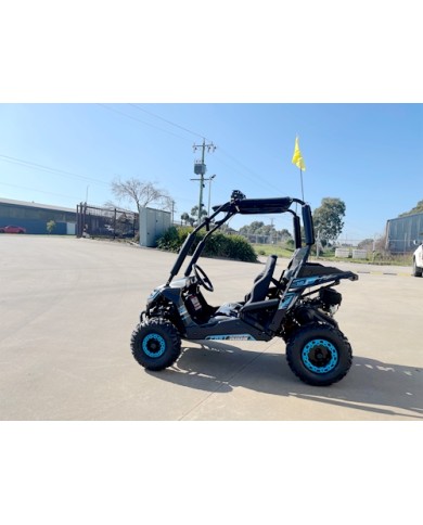 5.5HP 163CC BUGGY TWIN SEAT. FORZA 1, K1.