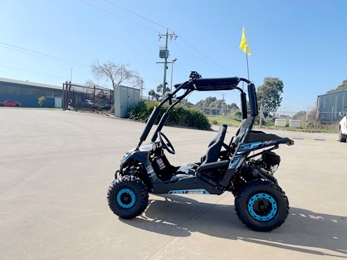 5.5HP 163CC BUGGY TWIN SEAT. FORZA 1, K1.