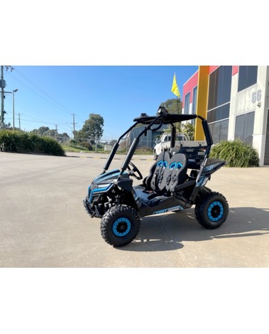 5.5HP 163CC BUGGY TWIN SEAT. FORZA 1, K1.