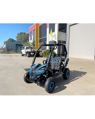 5.5HP 163CC BUGGY TWIN SEAT. FORZA 1, K1.