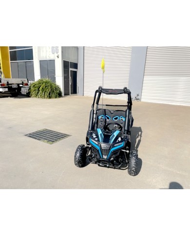 5.5HP 163CC BUGGY TWIN SEAT. FORZA 1, K1.
