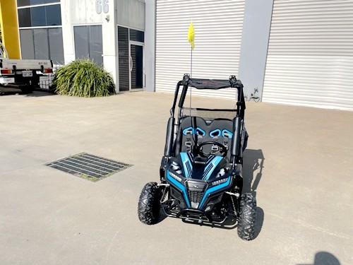 5.5HP 163CC BUGGY TWIN SEAT. FORZA 1, K1.