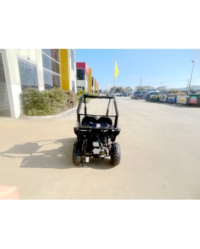 5.5HP 163CC BUGGY TWIN SEAT. FORZA 1, K1.