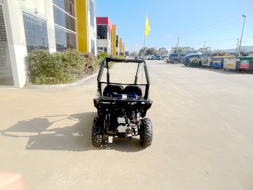 5.5HP 163CC BUGGY TWIN SEAT. FORZA 1, K1.
