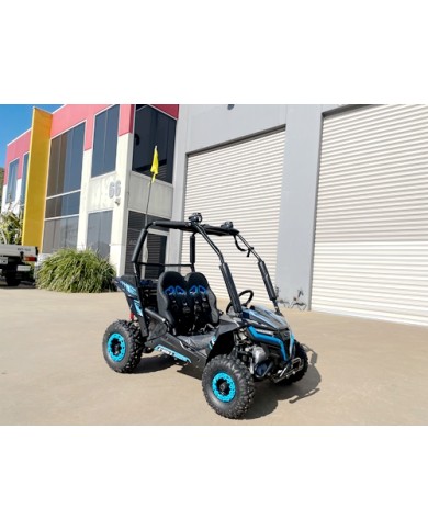 5.5HP 163CC BUGGY TWIN SEAT. FORZA 1, K1.