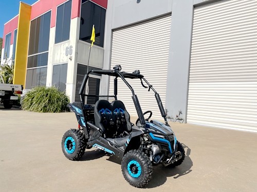 5.5HP 163CC BUGGY TWIN SEAT. FORZA 1, K1.
