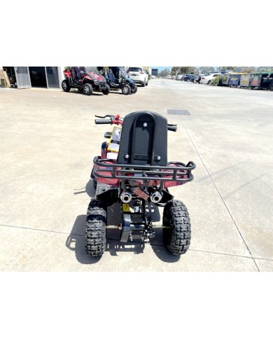 49cc Mini Farm Quad Bike for Kids in Red - MJ Motor