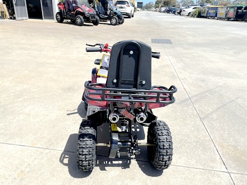 49cc Mini Farm Quad Bike for Kids in Red - MJ Motor