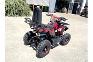 49cc Mini Farm Quad Bike for Kids in Red - MJ Motor