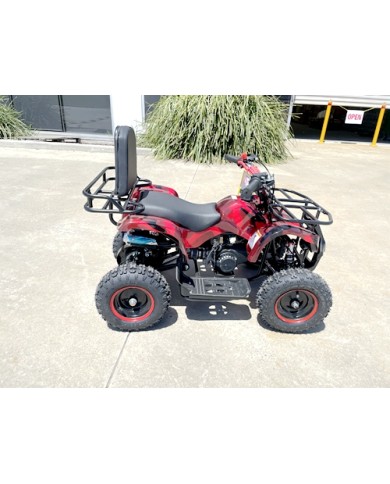 49cc Mini Farm Quad Bike for Kids in Red - MJ Motor