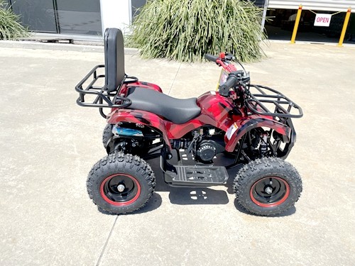 49cc Mini Farm Quad Bike for Kids in Red - MJ Motor