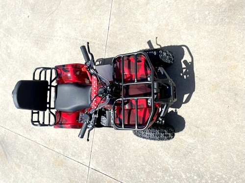 49cc Mini Farm Quad Bike for Kids in Red - MJ Motor