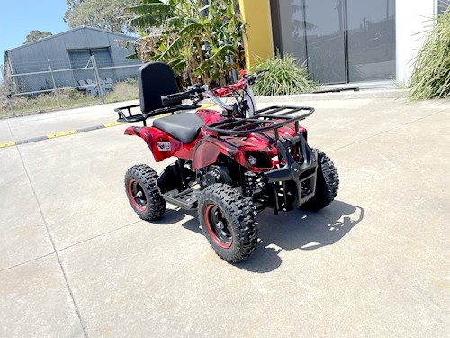49cc Mini Farm Quad Bike for Kids in Red - MJ Motor