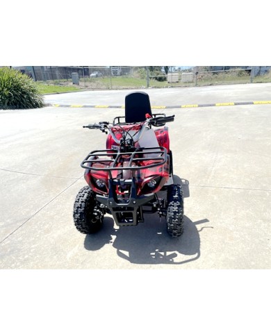 49cc Mini Farm Quad Bike for Kids in Red - MJ Motor