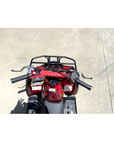 49cc Mini Farm Quad Bike for Kids in Red - MJ Motor