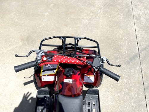 49cc Mini Farm Quad Bike for Kids in Red - MJ Motor