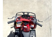 49cc Mini Farm Quad Bike for Kids in Red - MJ Motor