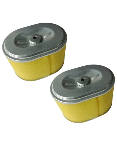 Air Filter Cleaner Element For Honda 5.5HP & 6.5HP GX120 GX140 GX160 GX200 2pcs