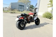 MB200X TrailMaster Hurricane Mini Bike Coleman Full sized REC-REG E-start BLACK
