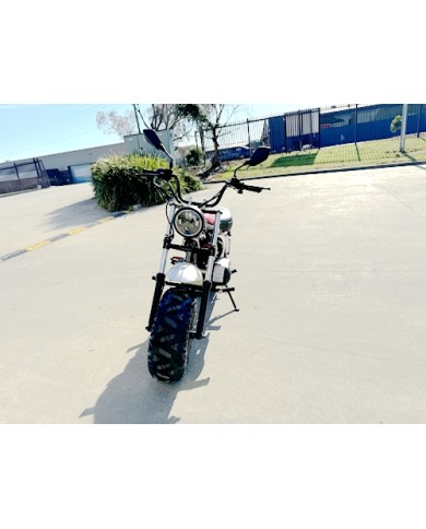 MB200X TrailMaster Hurricane Mini Bike Coleman Full sized REC-REG E-start BLACK