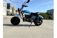 MB200X TrailMaster Hurricane Mini Bike Coleman Full sized REC-REG E-start BLACK