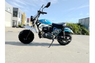 MB200X TrailMaster Hurricane Mini Bike Coleman Full sized REC-REG E-start BLACK