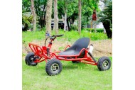 63cc Go Kart GK63 4 Wheeler 2 Stroke Buggy Adults Teens All-Terrain Off-Road Toy