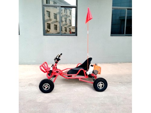 63cc Go Kart GK63 4 Wheeler 2 Stroke Buggy Adults Teens All-Terrain Off-Road Toy