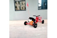 63cc Go Kart GK63 4 Wheeler 2 Stroke Buggy Adults Teens All-Terrain Off-Road Toy