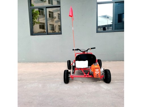 63cc Go Kart GK63 4 Wheeler 2 Stroke Buggy Adults Teens All-Terrain Off-Road Toy