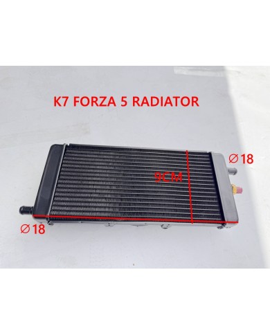 Radiator For 300cc BUGGY FORZA 57 K 7 Dune Buggy