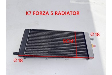 Radiator For 300cc BUGGY FORZA 57 K 7 Dune Buggy