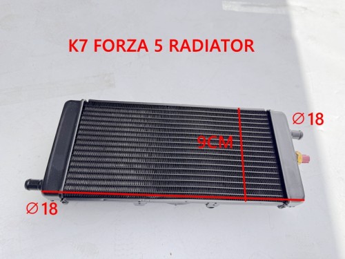 Radiator For 300cc BUGGY FORZA 57 K 7 Dune Buggy