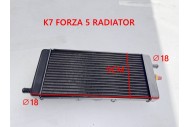 Radiator For 300cc BUGGY FORZA 57 K 7 Dune Buggy