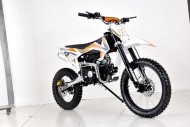 125cc Dirt Bike Pit Motor Motocross Pro Electric Start 14/17 Big Wheel in Dingo Orange
