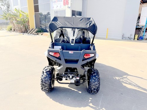 200CC UTV Challenger 200EX Dune Buggy Go kart Off Road 2 Seater Auto CVT EFI