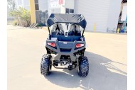 200CC UTV Challenger 200EX Dune Buggy Go kart Off Road 2 Seater Auto CVT EFI