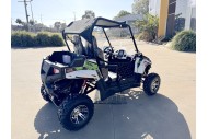 200CC UTV Challenger 200EX Dune Buggy Go kart Off Road 2 Seater Auto CVT EFI