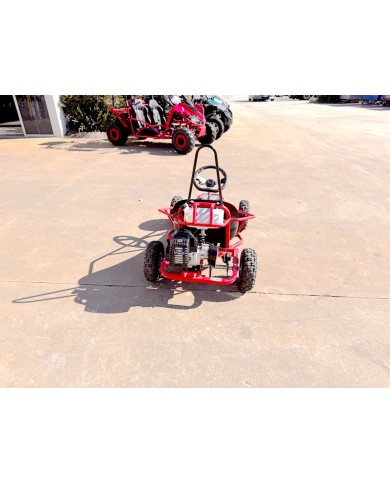 49cc Kids Go Kart  Mini 2-Stroke Buggy Off Road  Safety Belt Fun Ride